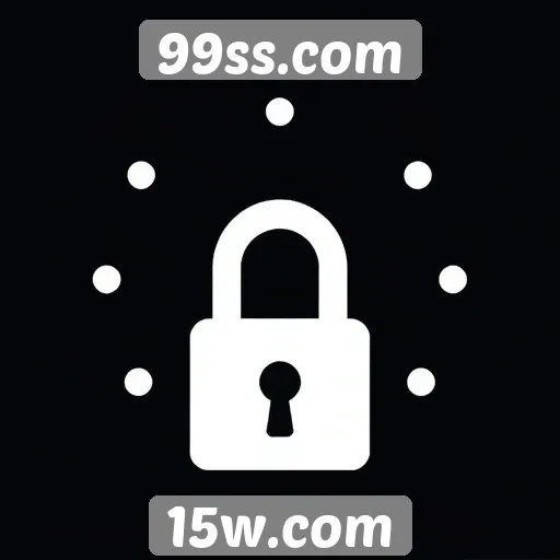 Avaliação da segurança em transações no 99ss.com